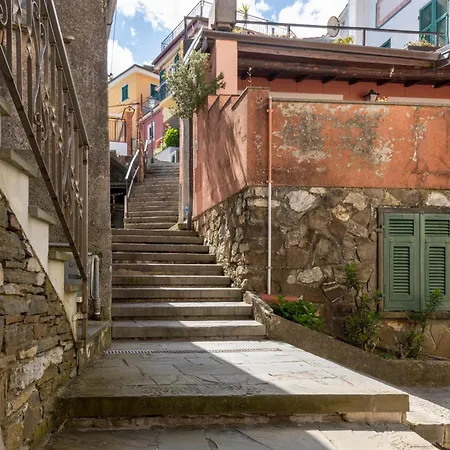 Maison Michelle - Homy 5 Terre * Vernazza
